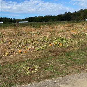 Meet your Posher, Tony